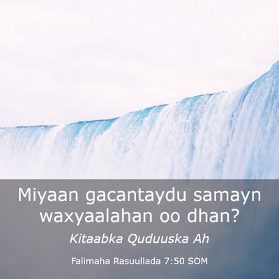 Picture 03 - Falimaha Rasuullada 7:50 SOM - Miyaan gacantaydu samayn waxyaalahan oo - Bible Verse Picture