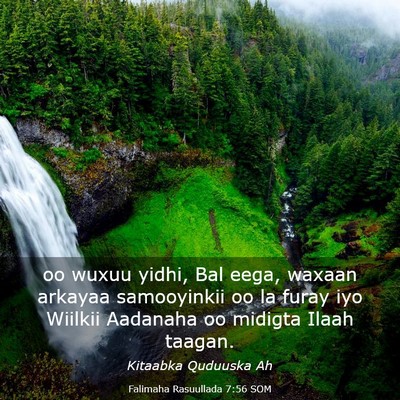 Picture 03 - Falimaha Rasuullada 7:56 SOM - oo wuxuu yidhi, Bal eega, waxaan arkayaa - Bible Verse Picture