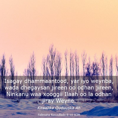 Picture 03 - Falimaha Rasuullada 8:10 SOM - Isagay dhammaantood, yar iyo weynba, wada - Bible Verse Picture