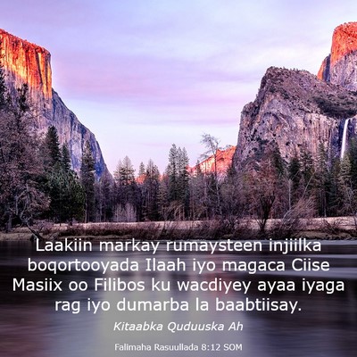 Picture 03 - Falimaha Rasuullada 8:12 SOM - Laakiin markay rumaysteen injiilka boqortooyada - Bible Verse Picture