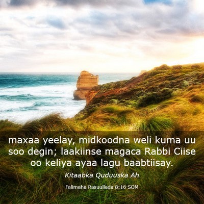 Picture 03 - Falimaha Rasuullada 8:16 SOM - maxaa yeelay, midkoodna weli kuma uu soo degin; - Bible Verse Picture