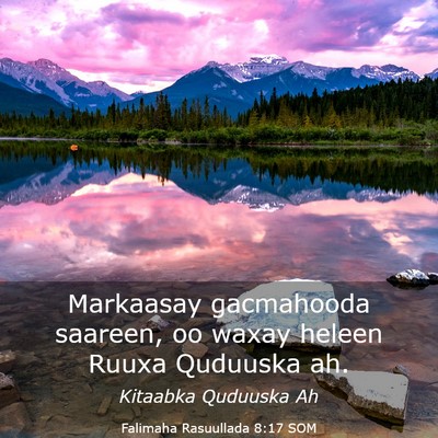 Picture 03 - Falimaha Rasuullada 8:17 SOM - Markaasay gacmahooda saareen, oo waxay heleen - Bible Verse Picture