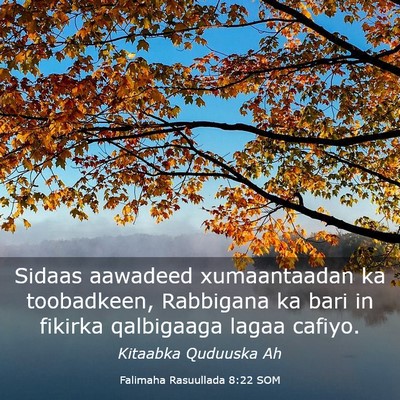Picture 03 - Falimaha Rasuullada 8:22 SOM - Sidaas aawadeed xumaantaadan ka toobadkeen, - Bible Verse Picture