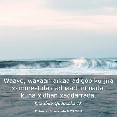 Picture 03 - Falimaha Rasuullada 8:23 SOM - Waayo, waxaan arkaa adigoo ku jira xammeetida - Bible Verse Picture