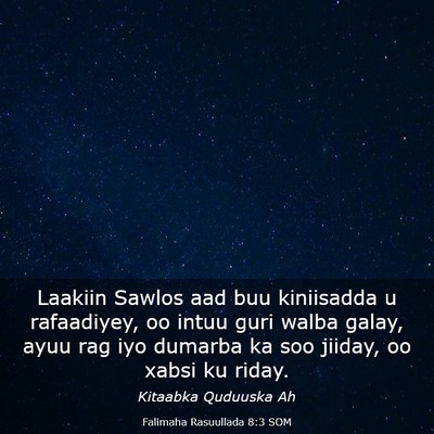 Picture 03 - Falimaha Rasuullada 8:3 SOM - Laakiin Sawlos aad buu kiniisadda u rafaadiyey, - Bible Verse Picture