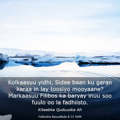 Picture 03 - Falimaha Rasuullada 8:31 SOM - Kolkaasuu yidhi, Sidee baan ku garan karaa in lay - Bible Verse Picture