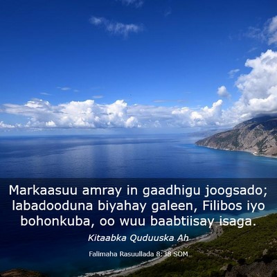 Picture 03 - Falimaha Rasuullada 8:38 SOM - Markaasuu amray in gaadhigu joogsado; labadooduna - Bible Verse Picture