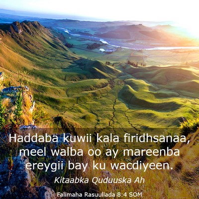 Picture 03 - Falimaha Rasuullada 8:4 SOM - Haddaba kuwii kala firidhsanaa, meel walba oo ay - Bible Verse Picture