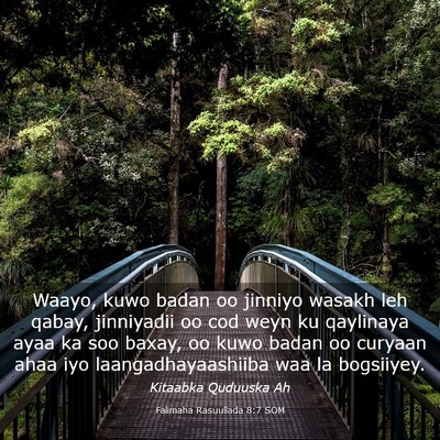 Picture 03 - Falimaha Rasuullada 8:7 SOM - Waayo, kuwo badan oo jinniyo wasakh leh qabay, - Bible Verse Picture