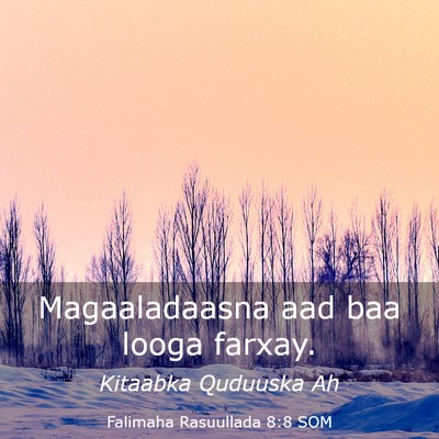Picture 03 - Falimaha Rasuullada 8:8 SOM - Magaaladaasna aad baa looga - Bible Verse Picture