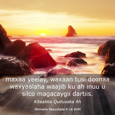 Picture 03 - Falimaha Rasuullada 9:16 SOM - maxaa yeelay, waxaan tusi doonaa waxyaalaha - Bible Verse Picture