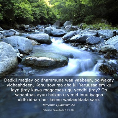 Picture 03 - Falimaha Rasuullada 9:21 SOM - Dadkii maqlay oo dhammuna waa yaabeen, oo waxay - Bible Verse Picture