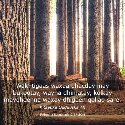 Picture 03 - Falimaha Rasuullada 9:37 SOM - Wakhtigaas waxaa dhacday inay bukootay, wayna - Bible Verse Picture