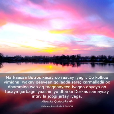 Picture 03 - Falimaha Rasuullada 9:39 SOM - Markaasaa Butros kacay oo raacay iyagii. Oo - Bible Verse Picture