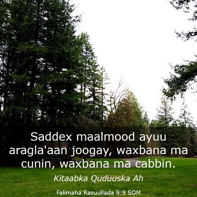 Picture 03 - Falimaha Rasuullada 9:9 SOM - Saddex maalmood ayuu aragla'aan joogay, waxbana - Bible Verse Picture