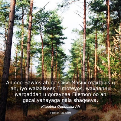 Picture 03 - Filemon 1:1 SOM - Anigoo Bawlos ah oo Ciise Masiix maxbuus u ah, - Bible Verse Picture