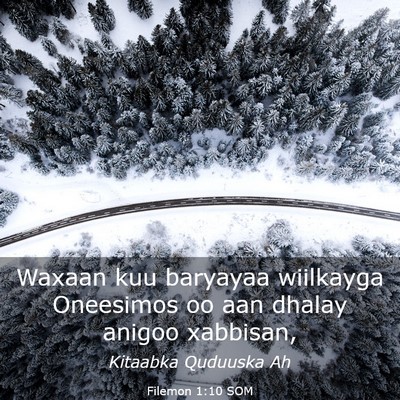 Picture 03 - Filemon 1:10 SOM - Waxaan kuu baryayaa wiilkayga Oneesimos oo aan - Bible Verse Picture