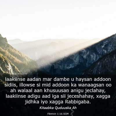 Picture 03 - Filemon 1:16 SOM - laakiinse aadan mar dambe u haysan addoon sidiis, - Bible Verse Picture
