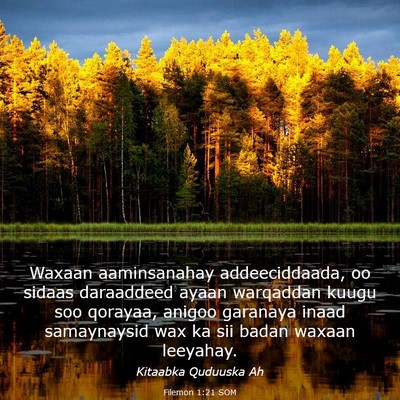 Picture 03 - Filemon 1:21 SOM - Waxaan aaminsanahay addeeciddaada, oo sidaas - Bible Verse Picture