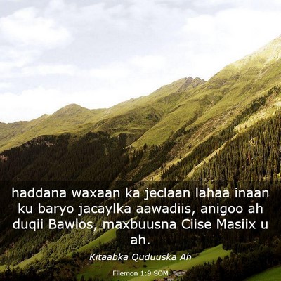 Picture 03 - Filemon 1:9 SOM - haddana waxaan ka jeclaan lahaa inaan ku baryo - Bible Verse Picture