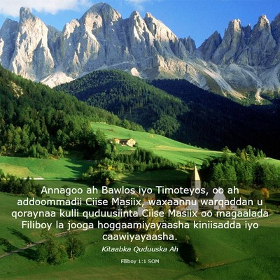 Picture 03 - Filiboy 1:1 SOM - Annagoo ah Bawlos iyo Timoteyos, oo ah - Bible Verse Picture