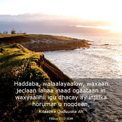 Picture 03 - Filiboy 1:12 SOM - Haddaba, walaalayaalow, waxaan jeclaan lahaa - Bible Verse Picture