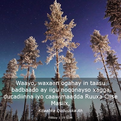 Picture 03 - Filiboy 1:19 SOM - Waayo, waxaan ogahay in taasu badbaado ay iigu - Bible Verse Picture