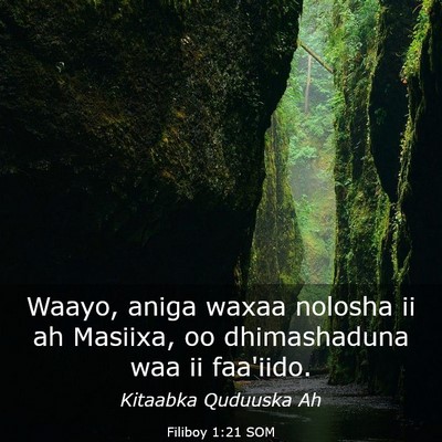 Picture 03 - Filiboy 1:21 SOM - Waayo, aniga waxaa nolosha ii ah Masiixa, oo - Bible Verse Picture
