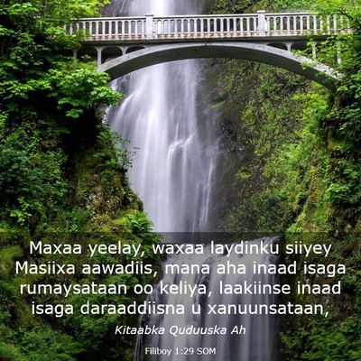 Picture 03 - Filiboy 1:29 SOM - Maxaa yeelay, waxaa laydinku siiyey Masiixa - Bible Verse Picture
