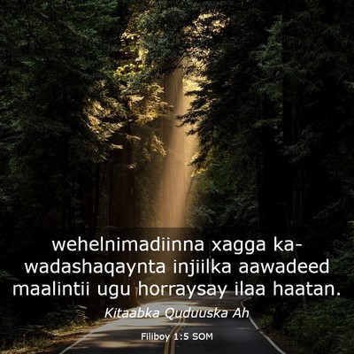 Picture 03 - Filiboy 1:5 SOM - wehelnimadiinna xagga ka-wadashaqaynta injiilka - Bible Verse Picture