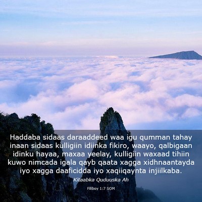 Picture 03 - Filiboy 1:7 SOM - Haddaba sidaas daraaddeed waa igu qumman tahay - Bible Verse Picture
