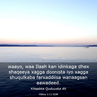 Picture 03 - Filiboy 2:13 SOM - waayo, waa Ilaah kan idinkaga dhex shaqeeya xagga - Bible Verse Picture