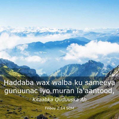 Picture 03 - Filiboy 2:14 SOM - Haddaba wax walba ku sameeya gunuunac iyo muran - Bible Verse Picture