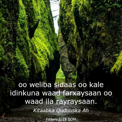 Picture 03 - Filiboy 2:18 SOM - oo weliba sidaas oo kale idinkuna waad farxaysaan - Bible Verse Picture