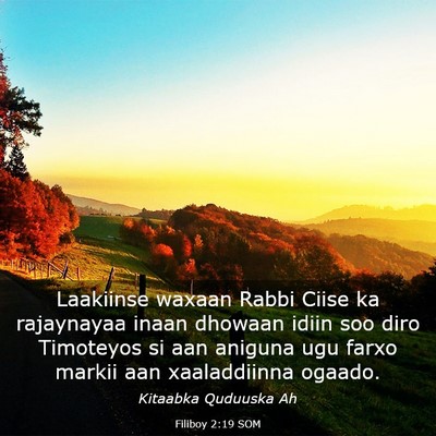 Picture 03 - Filiboy 2:19 SOM - Laakiinse waxaan Rabbi Ciise ka rajaynayaa inaan - Bible Verse Picture