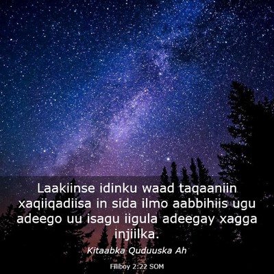 Picture 03 - Filiboy 2:22 SOM - Laakiinse idinku waad taqaaniin xaqiiqadiisa in - Bible Verse Picture