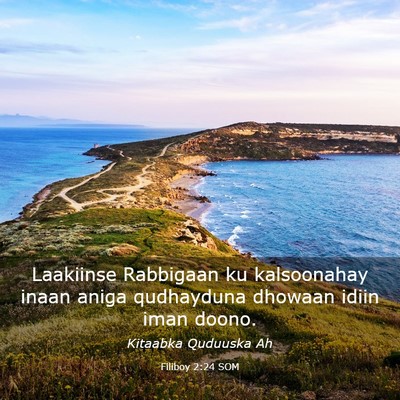 Picture 03 - Filiboy 2:24 SOM - Laakiinse Rabbigaan ku kalsoonahay inaan aniga - Bible Verse Picture