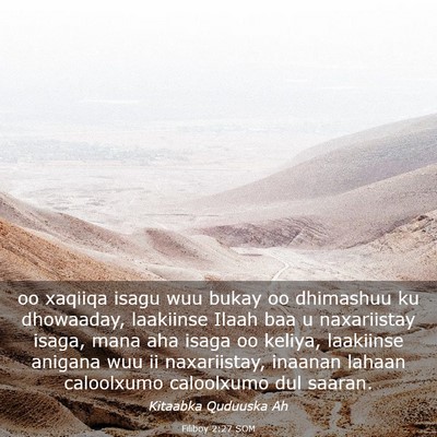 Picture 03 - Filiboy 2:27 SOM - oo xaqiiqa isagu wuu bukay oo dhimashuu ku - Bible Verse Picture