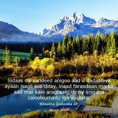 Picture 03 - Filiboy 2:28 SOM - Sidaas daraaddeed anigoo aad u dadaalaya ayaan - Bible Verse Picture