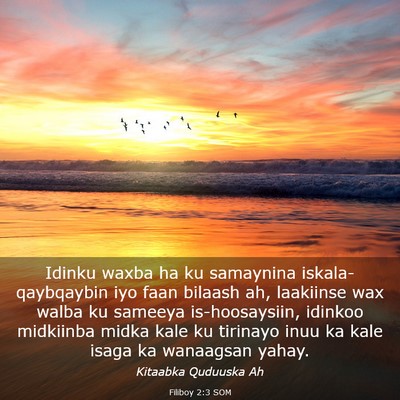Picture 03 - Filiboy 2:3 SOM - Idinku waxba ha ku samaynina iskala-qaybqaybin - Bible Verse Picture