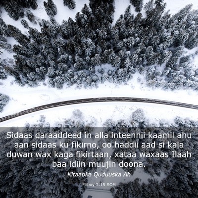 Picture 03 - Filiboy 3:15 SOM - Sidaas daraaddeed in alla inteennii kaamil ahu - Bible Verse Picture