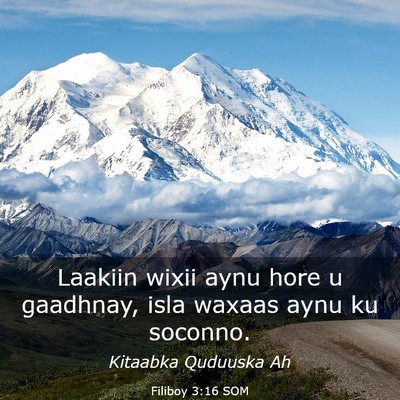 Picture 03 - Filiboy 3:16 SOM - Laakiin wixii aynu hore u gaadhnay, isla waxaas - Bible Verse Picture