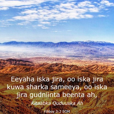 Picture 03 - Filiboy 3:2 SOM - Eeyaha iska jira, oo iska jira kuwa sharka - Bible Verse Picture