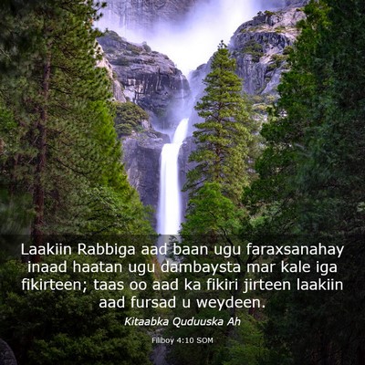 Picture 03 - Filiboy 4:10 SOM - Laakiin Rabbiga aad baan ugu faraxsanahay inaad - Bible Verse Picture