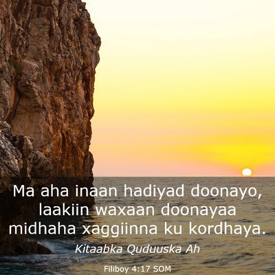 Picture 03 - Filiboy 4:17 SOM - Ma aha inaan hadiyad doonayo, laakiin waxaan - Bible Verse Picture