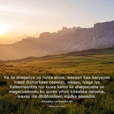 Picture 03 - Filiboy 4:3 SOM - Ka ila shaqeeya oo runta ahow, waxaan kaa - Bible Verse Picture