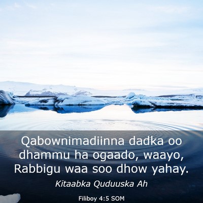 Picture 03 - Filiboy 4:5 SOM - Qabownimadiinna dadka oo dhammu ha ogaado, waayo, - Bible Verse Picture