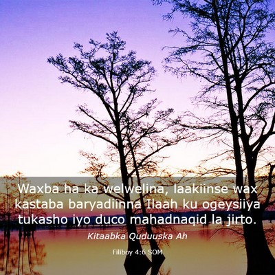 Picture 03 - Filiboy 4:6 SOM - Waxba ha ka welwelina, laakiinse wax kastaba - Bible Verse Picture