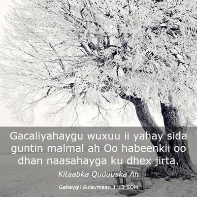 Picture 03 - Gabaygii Sulaymaan 1:13 SOM - Gacaliyahaygu wuxuu ii yahay sida guntin malmal - Bible Verse Picture