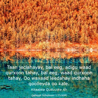 Picture 03 - Gabaygii Sulaymaan 1:15 SOM - Taan jeclahayay, bal eeg, adigu waad qurxoon - Bible Verse Picture